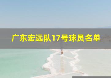 广东宏远队17号球员名单