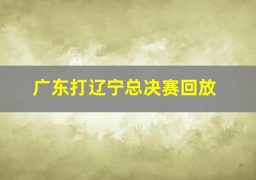 广东打辽宁总决赛回放