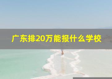 广东排20万能报什么学校