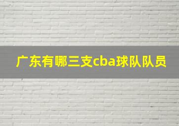 广东有哪三支cba球队队员