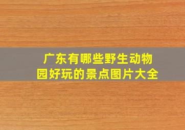 广东有哪些野生动物园好玩的景点图片大全