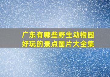 广东有哪些野生动物园好玩的景点图片大全集