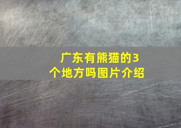 广东有熊猫的3个地方吗图片介绍