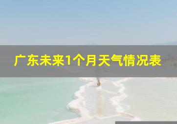 广东未来1个月天气情况表