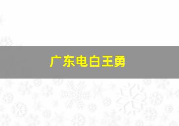 广东电白王勇