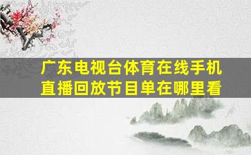 广东电视台体育在线手机直播回放节目单在哪里看