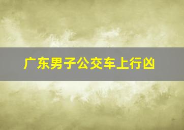 广东男子公交车上行凶