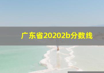 广东省20202b分数线