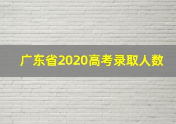 广东省2020高考录取人数