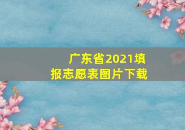 广东省2021填报志愿表图片下载