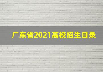 广东省2021高校招生目录