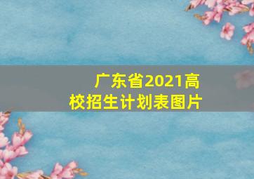 广东省2021高校招生计划表图片