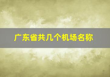 广东省共几个机场名称