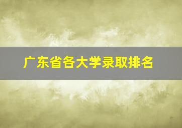 广东省各大学录取排名