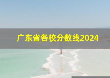 广东省各校分数线2024