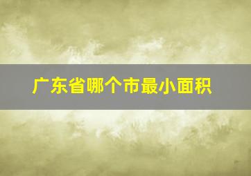 广东省哪个市最小面积