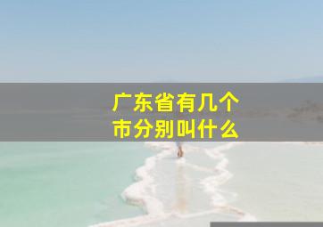 广东省有几个市分别叫什么