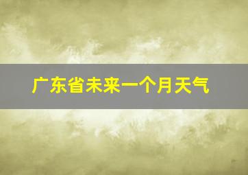 广东省未来一个月天气