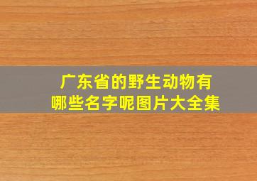 广东省的野生动物有哪些名字呢图片大全集