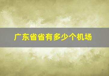 广东省省有多少个机场