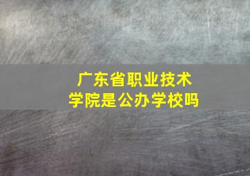 广东省职业技术学院是公办学校吗