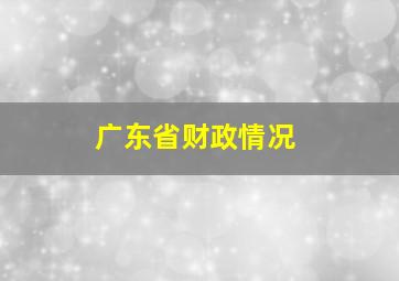 广东省财政情况