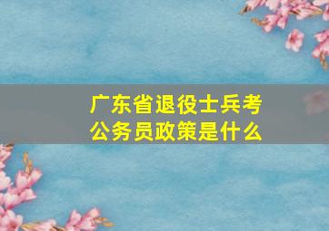 广东省退役士兵考公务员政策是什么