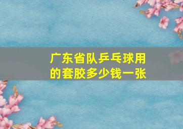 广东省队乒乓球用的套胶多少钱一张