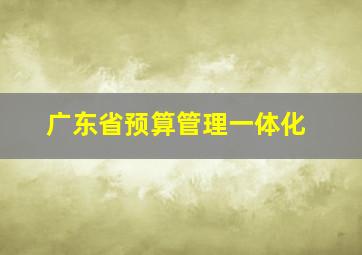 广东省预算管理一体化