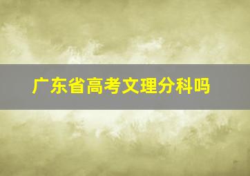 广东省高考文理分科吗