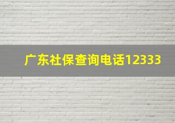 广东社保查询电话12333