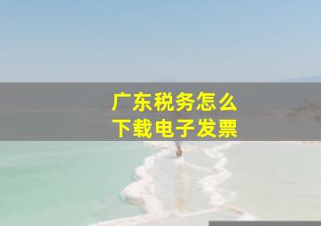 广东税务怎么下载电子发票