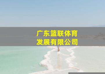 广东篮联体育发展有限公司