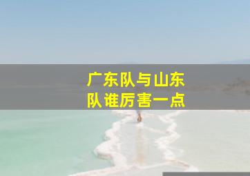 广东队与山东队谁厉害一点