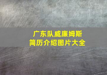 广东队威廉姆斯简历介绍图片大全