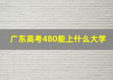 广东高考480能上什么大学