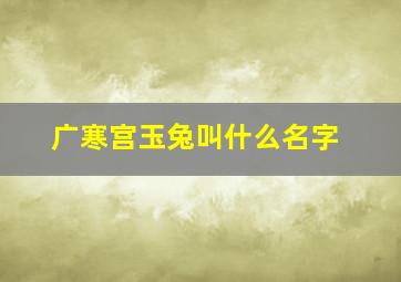 广寒宫玉兔叫什么名字