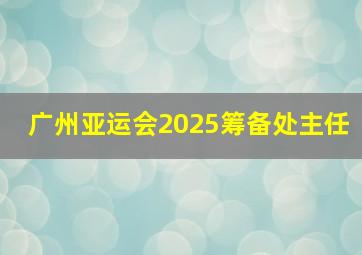 广州亚运会2025筹备处主任