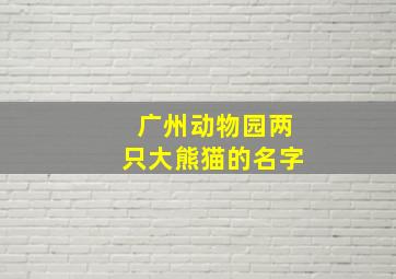 广州动物园两只大熊猫的名字