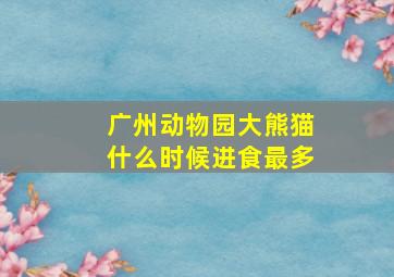 广州动物园大熊猫什么时候进食最多