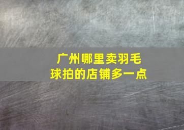 广州哪里卖羽毛球拍的店铺多一点