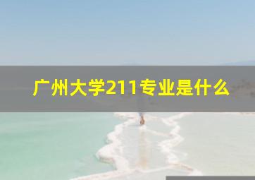 广州大学211专业是什么