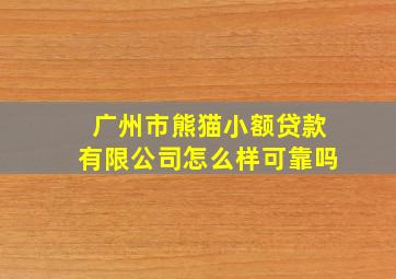 广州市熊猫小额贷款有限公司怎么样可靠吗