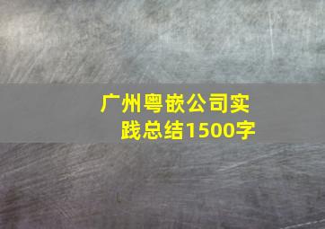 广州粤嵌公司实践总结1500字