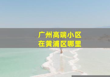 广州高端小区在黄浦区哪里