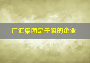 广汇集团是干嘛的企业