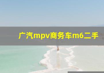 广汽mpv商务车m6二手