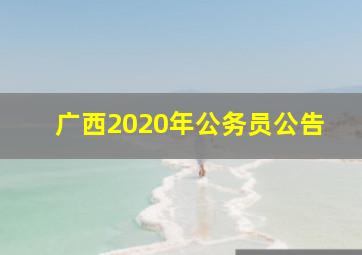 广西2020年公务员公告