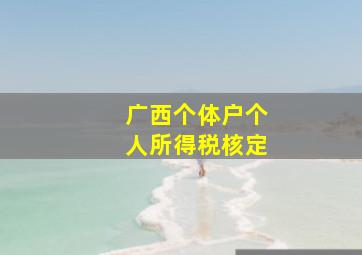 广西个体户个人所得税核定