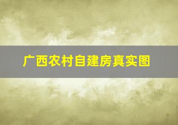 广西农村自建房真实图